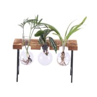 Desktop Terrarium Metal Stand – Modern Glass Plant Holder for Home & Office Decor