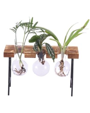 Desktop Terrarium Metal Stand – Modern Glass Plant Holder for Home & Office Decor
