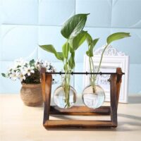 Desktop Glass Terrarium with Wooden Stand – Modern Plant Propagation Vase (Small, Medium, Large)