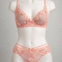 Coral Floral Embroidered Lace Brief Panty – Full Coverage