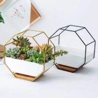 Octagonal Geometric Plant Pot – Modern Succulent Planter (Black or Gold)