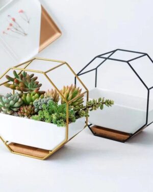Octagonal Geometric Plant Pot – Modern Succulent Planter (Black or Gold)