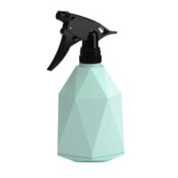 Plant Mister – Modern Spray Bottle for Indoor Plants (Blue, Green, Pink)
