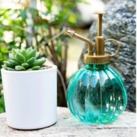 Vintage Plant Spritzer – Glass Pump Spray Bottle (Green, Pink)