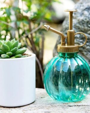 Vintage Plant Spritzer – Glass Pump Spray Bottle (Green, Pink)