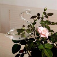Self Watering Glass Bird – Automatic Plant Watering Globe (Dove or Swan)